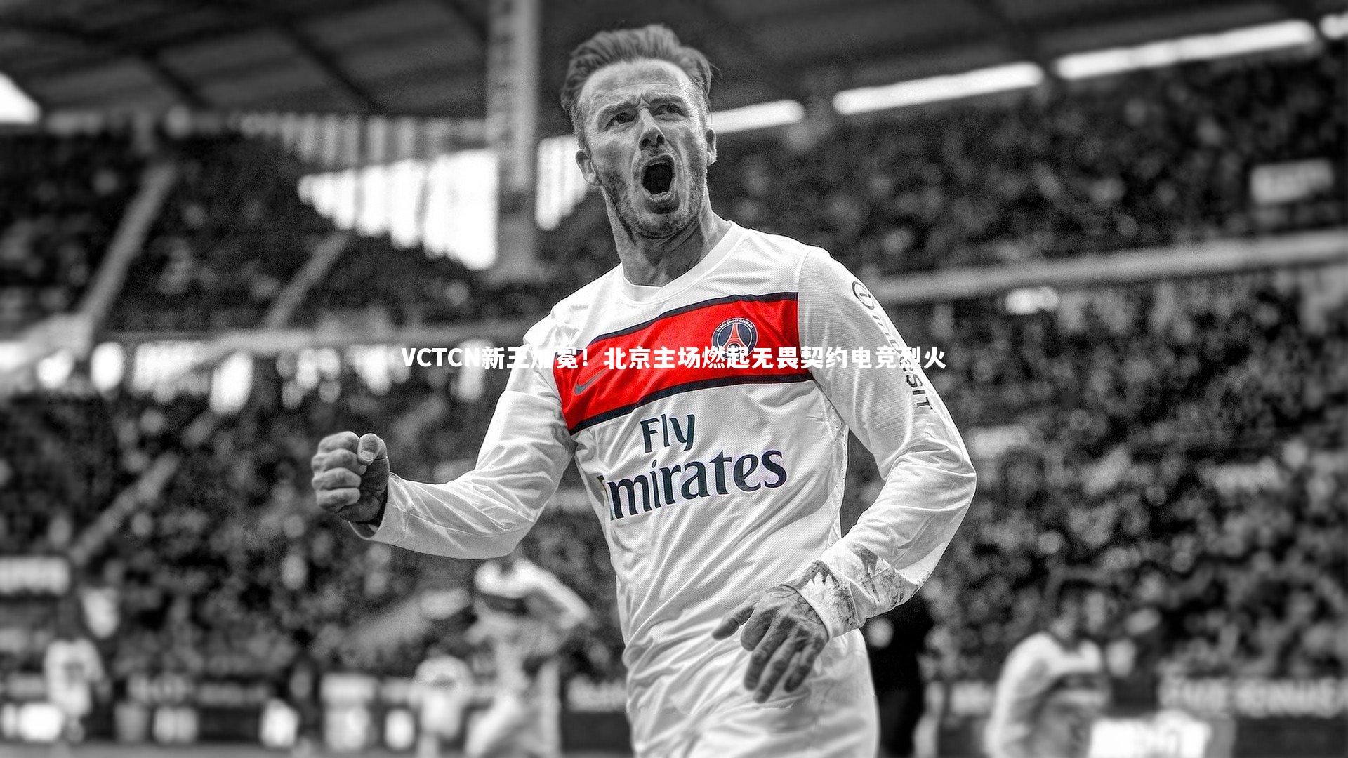 爱游戏体育官方网站_VCTCN新王加冕！北京主场燃起无畏契约电竞烈火