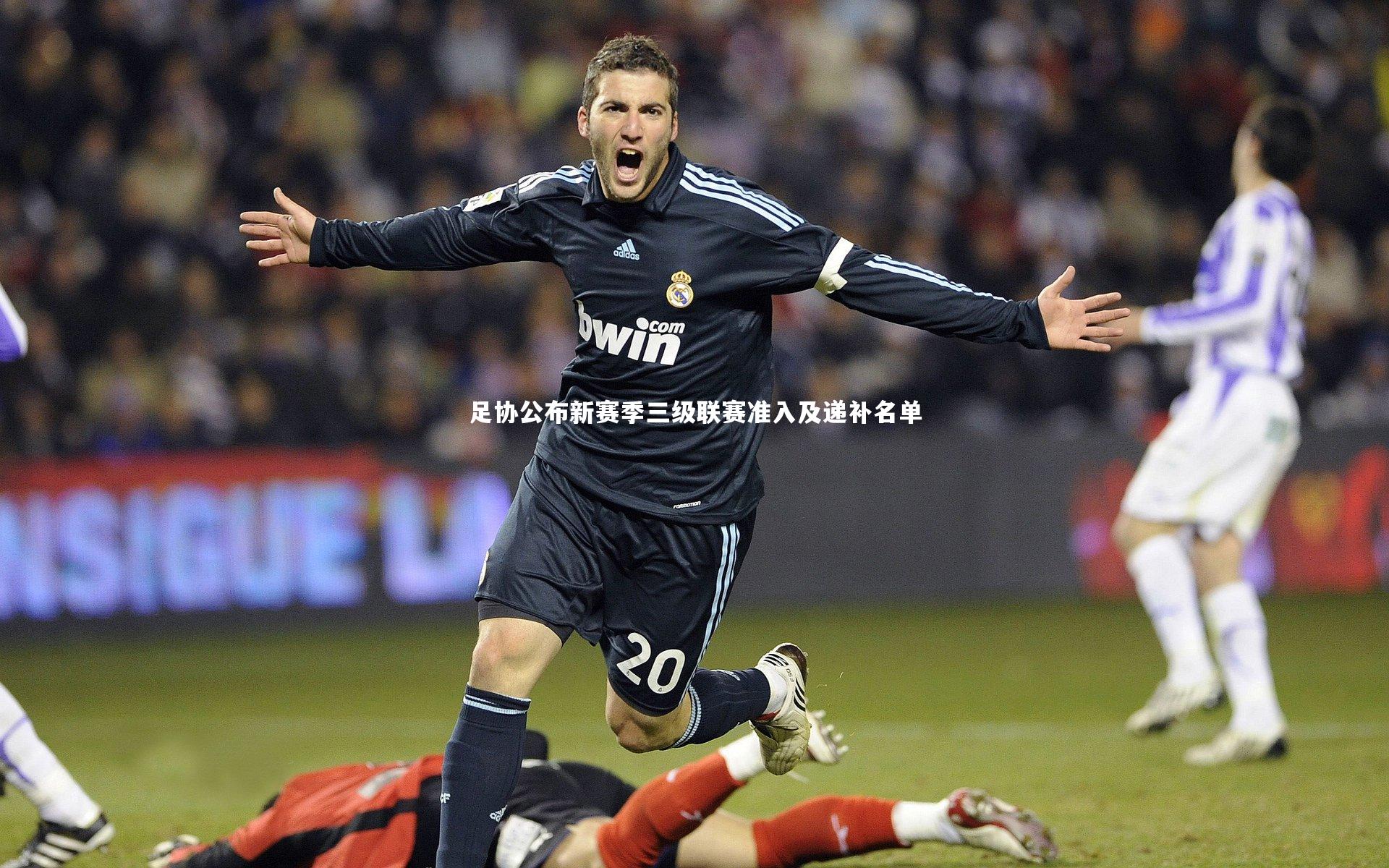 爱游戏体育官方网站-足协公布新赛季三级联赛准入及递补名单